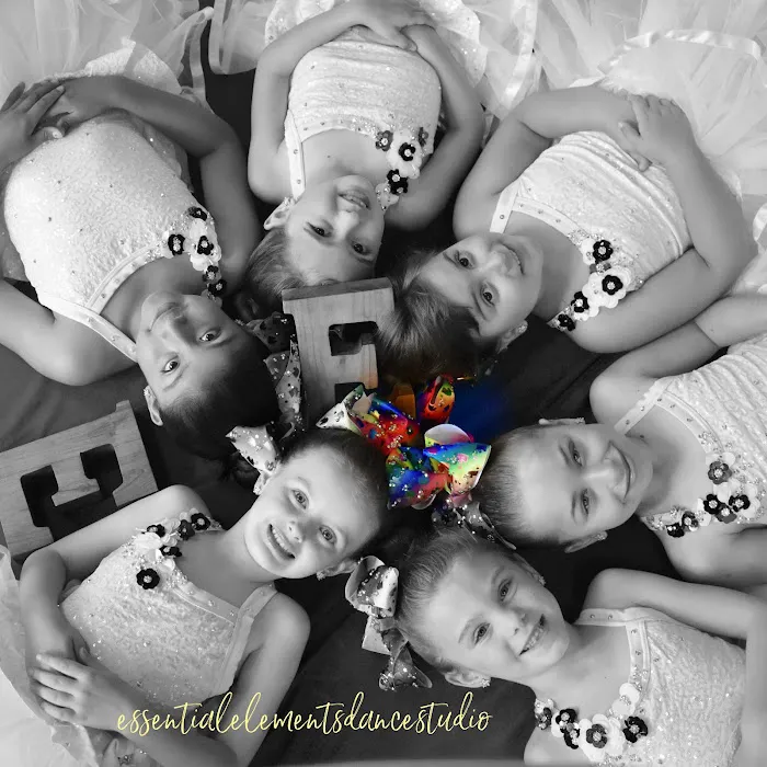 Essential Elements Dance Studio Picture 9
