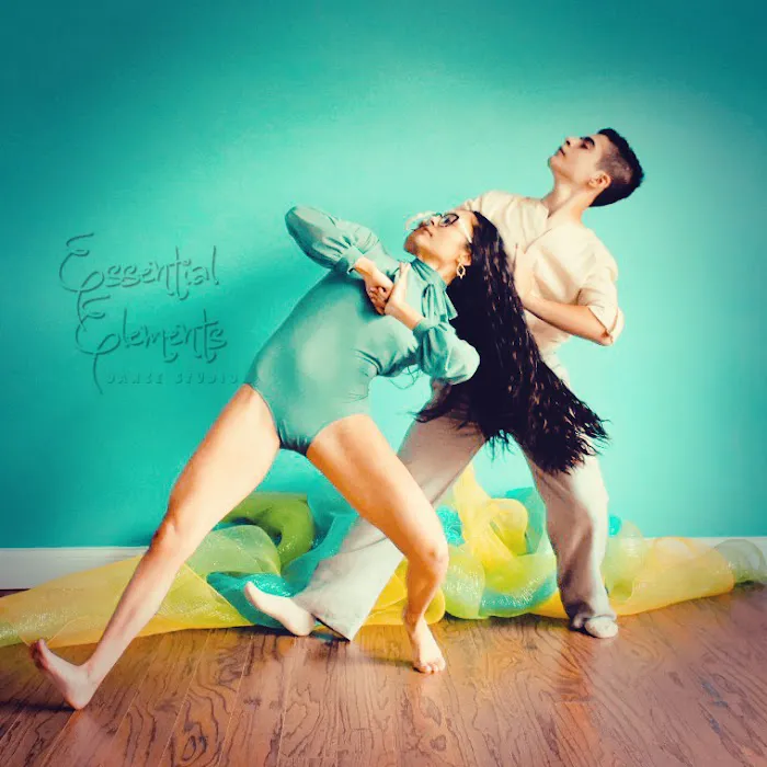 Essential Elements Dance Studio Picture 7