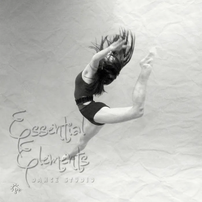 Essential Elements Dance Studio Picture 4