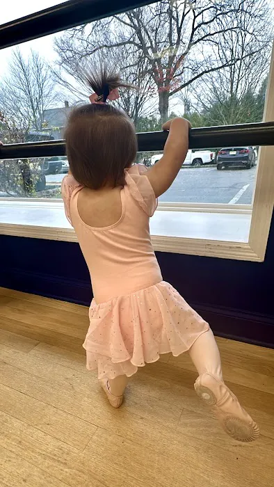 The Art of Dance Picture 1