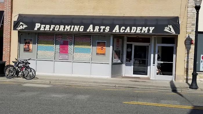 Performing Arts Academy Picture 1