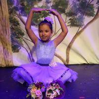 Alaya Dance School ico