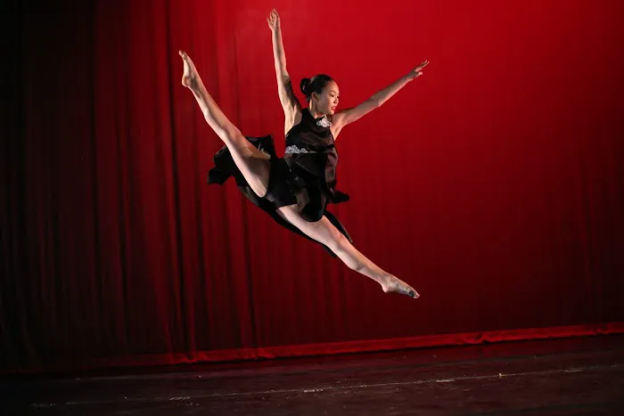 The Studio-Dance Perfection Picture 1