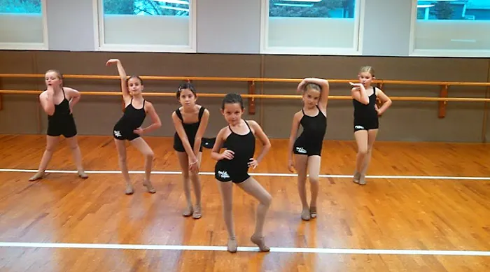 Gallery of Dance Picture 8