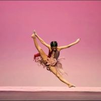 Premiere Dance Hillsborough ico