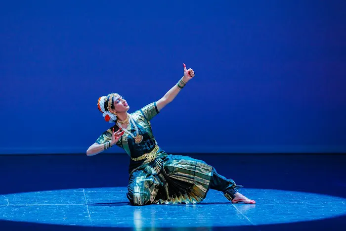 Taal Institute of Performing Arts Picture 2