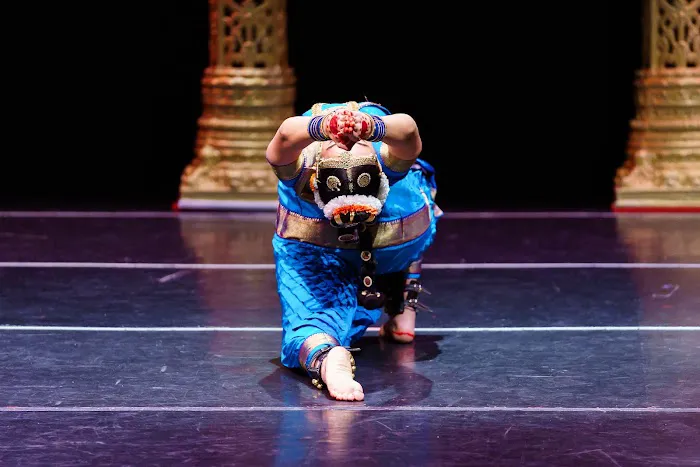 Taal Institute of Performing Arts Picture 4