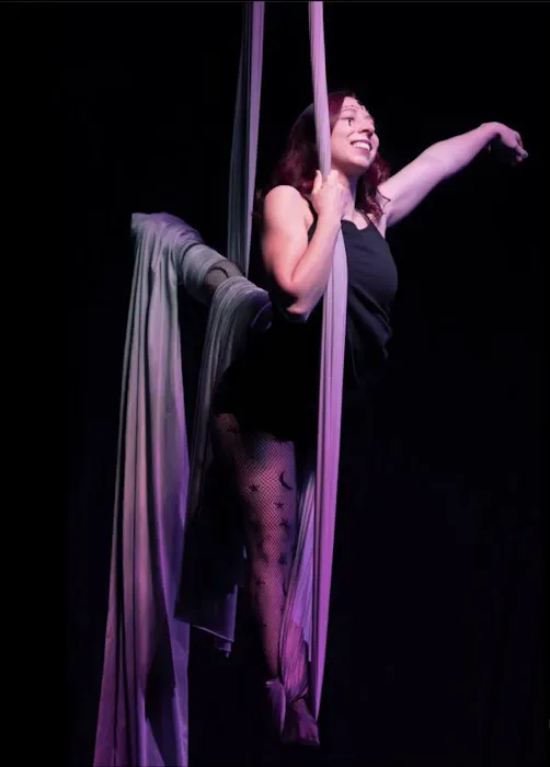 Flight Aerial & Pole Dance Picture 4