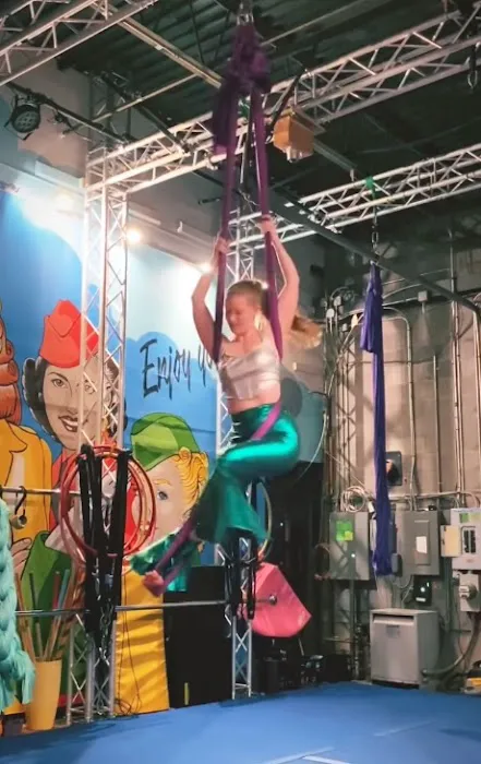 Flight Aerial & Pole Dance Picture 8