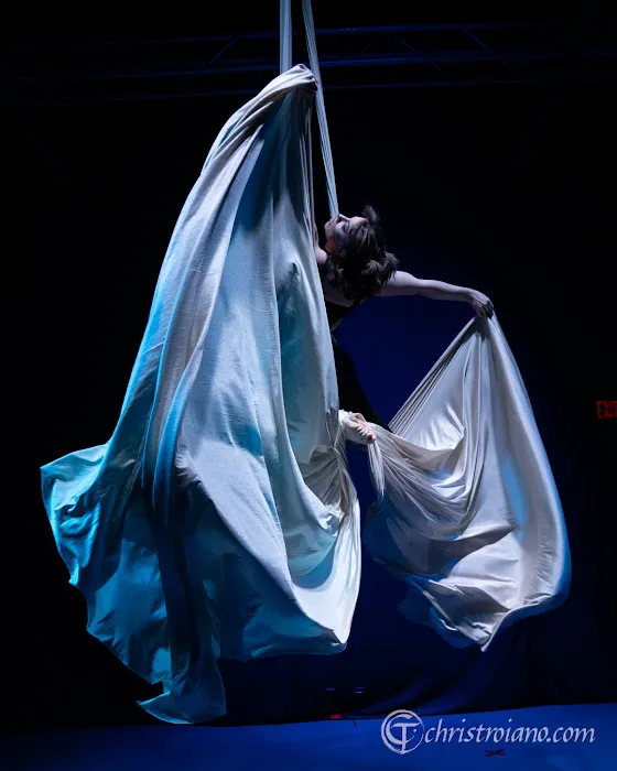 Flight Aerial & Pole Dance Picture 5