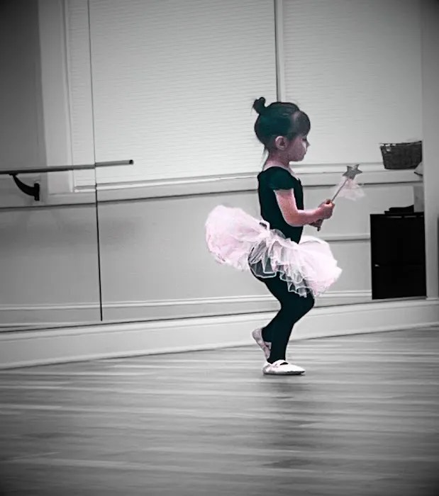 The Love of Dance Picture 5