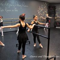 Infinite Motion Performing Arts Academy ico
