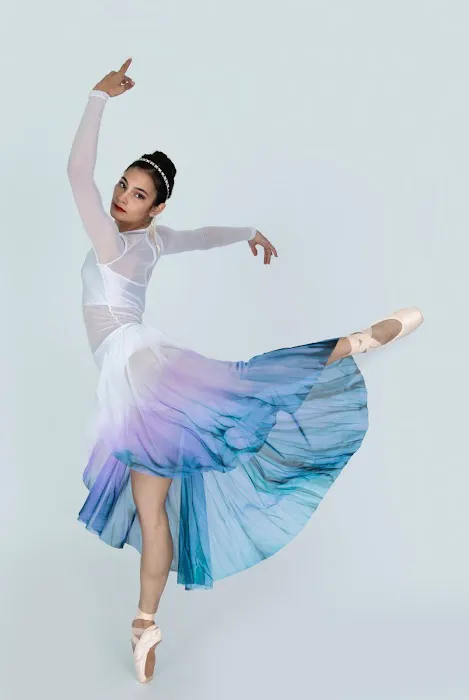 The Ballet Barre - Performing Arts School Picture 6