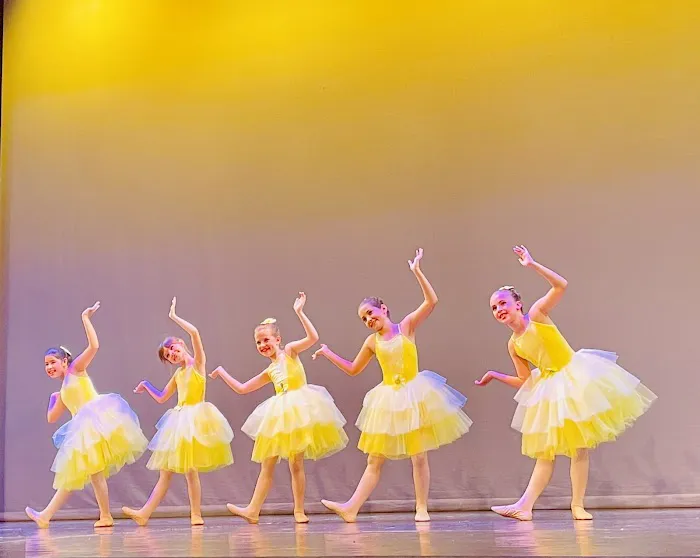 The Ballet Barre - Performing Arts School Picture 2