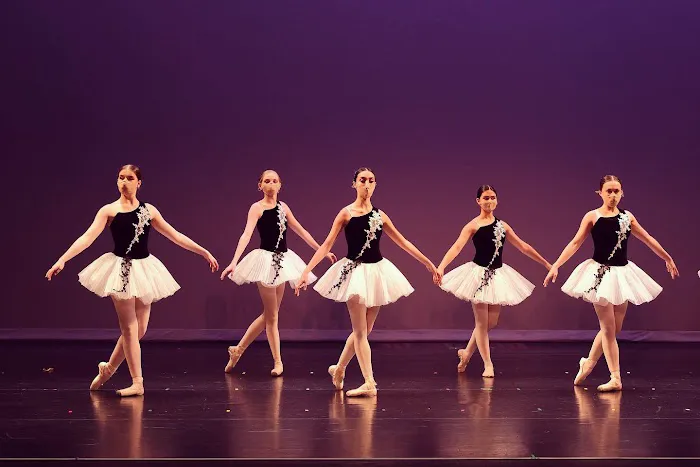 The Ballet Barre - Performing Arts School Picture 8