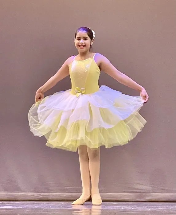 The Ballet Barre - Performing Arts School Picture 3