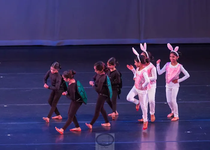 GLOBAL MUDRA PERFORMING ARTS Picture 1
