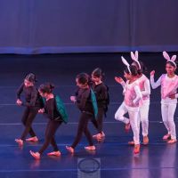 GLOBAL MUDRA PERFORMING ARTS ico