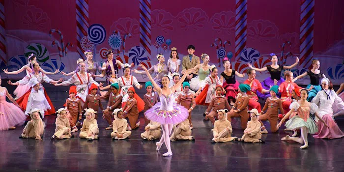 Scarsdale Ballet Studio Picture 2