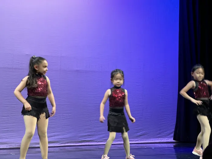 No Limits Performing Arts Studio Picture 8