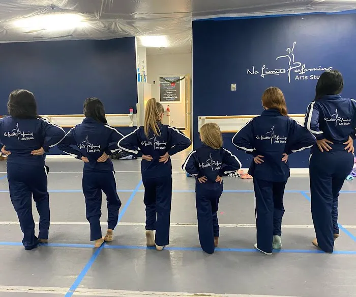 No Limits Performing Arts Studio Picture 10
