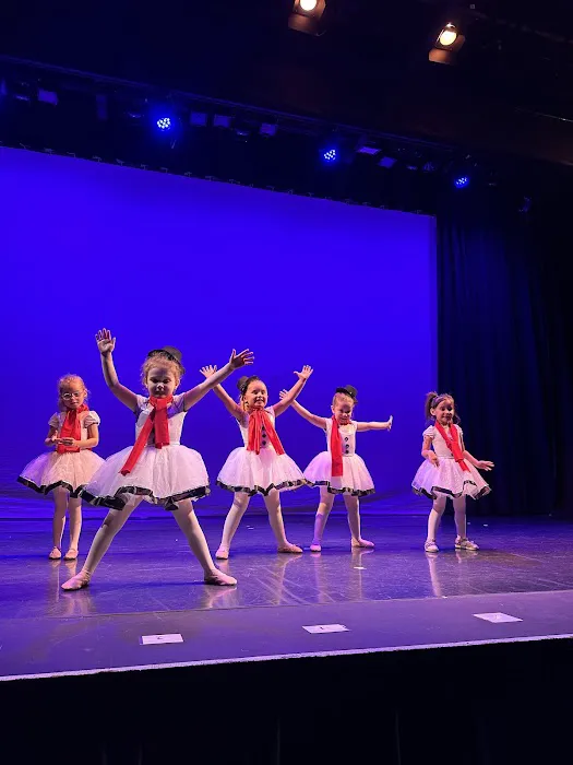 No Limits Performing Arts Studio Picture 1