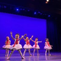No Limits Performing Arts Studio ico
