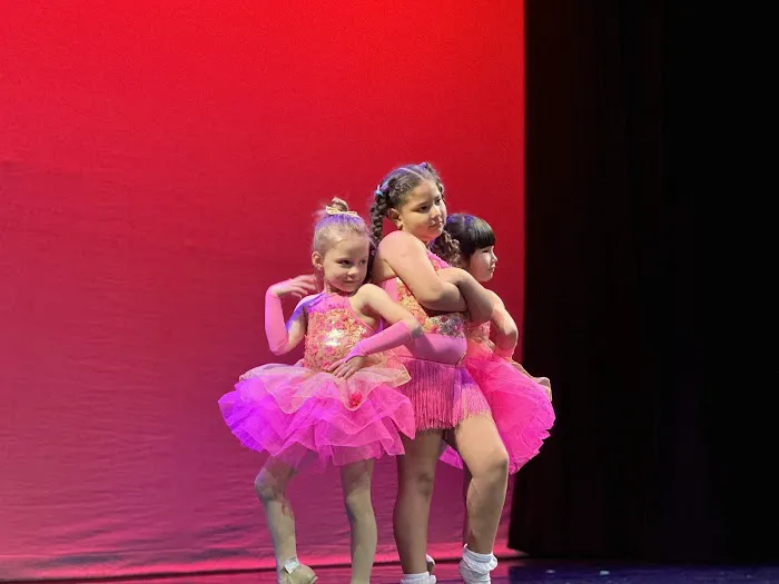 No Limits Performing Arts Studio Picture 3