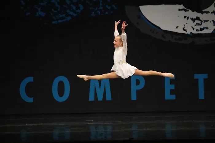 No Limits Performing Arts Studio Picture 5