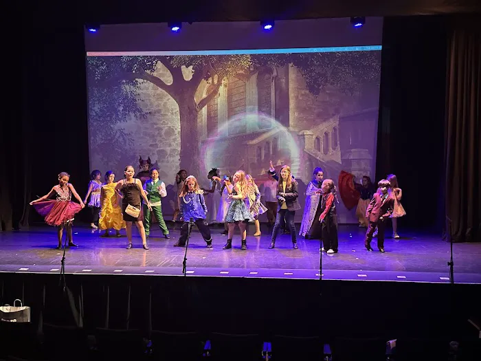 No Limits Performing Arts Studio Picture 4