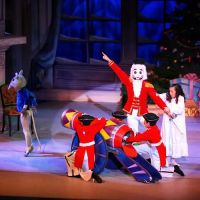 Rockland Youth Dance Ensemble ico