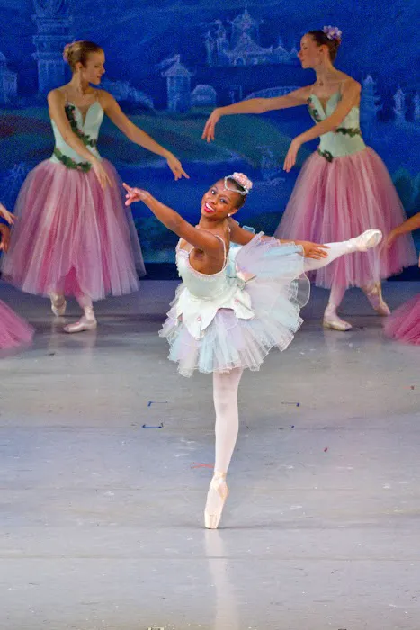 Rockland Youth Dance Ensemble Picture 3
