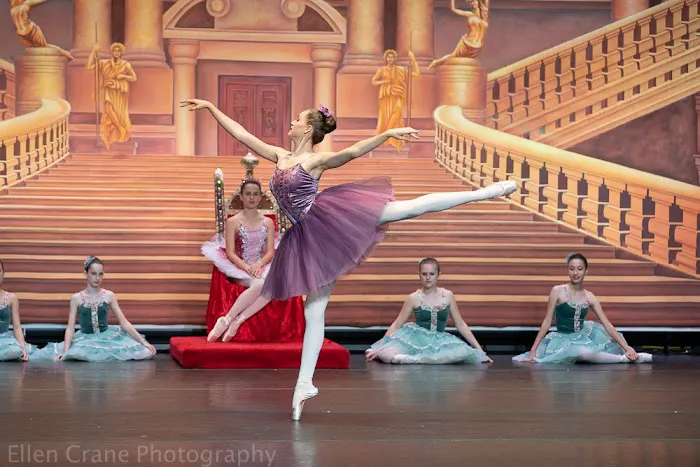 Rye Ballet Conservatory Picture 4