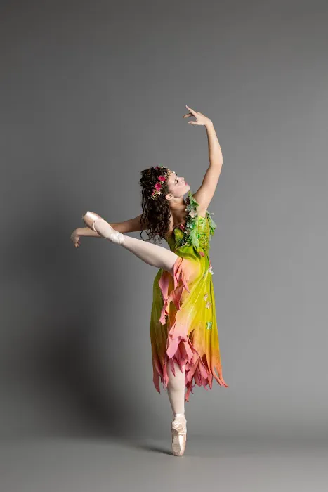 Rye Ballet Conservatory Picture 3