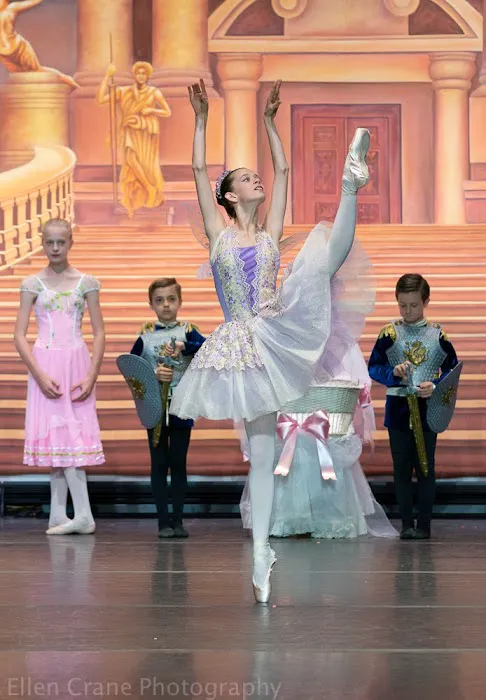 Rye Ballet Conservatory Picture 2