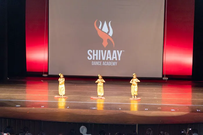 Shivaay Dance Academy Picture 9