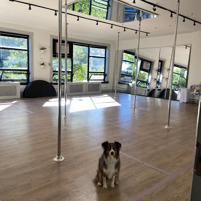 Pole Position Dance Studio Picture 10