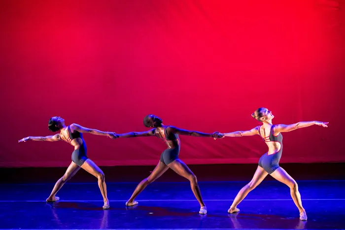Ballet des Amériques Conservatory Picture 4