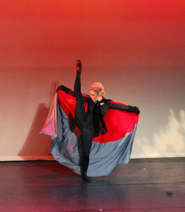 Ballet des Amériques Conservatory Picture 5