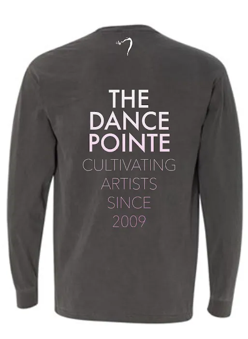 The Dance Pointe Picture 4