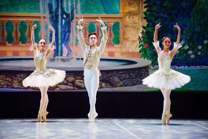Long Island Youth Ballet Picture 2