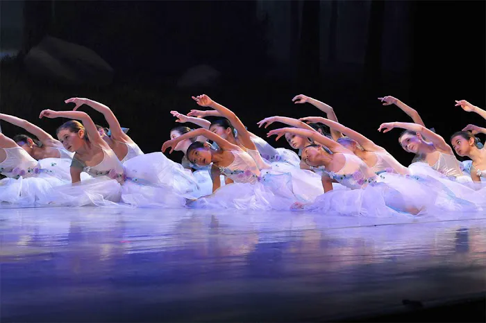 Princeton Ballet School | American Repertory Ballet Picture 3