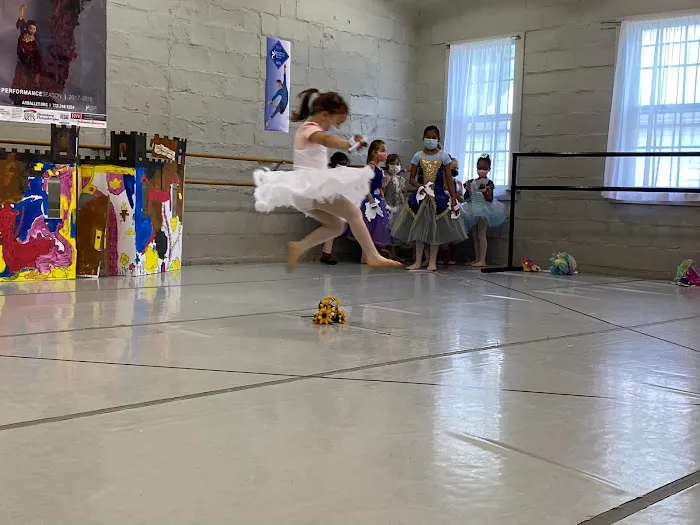 Princeton Ballet School | American Repertory Ballet Picture 5