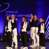 NJ Center of Dance ico