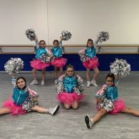 Platinum Dance Academy ico