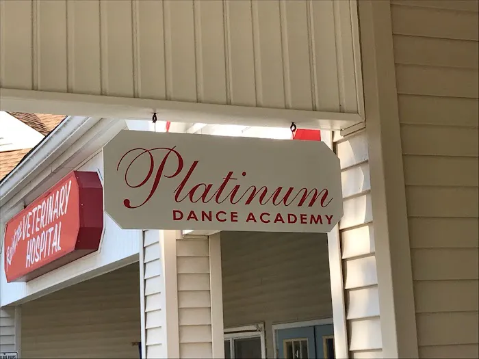 Platinum Dance Academy Picture 7