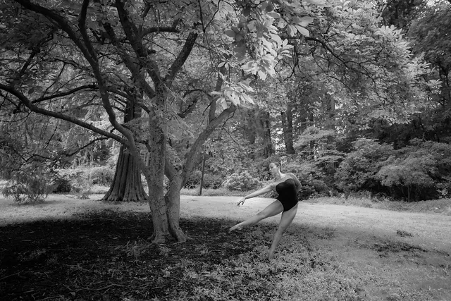 The Academy of Dance Arts Picture 2