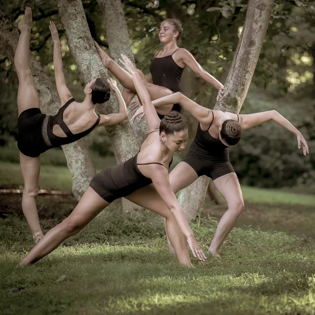 The Academy of Dance Arts Picture 7