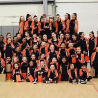 Flair Dance Academy ico