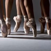 Princeton Dance & Theater ico
